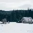 开云-曼城窗口期再遭质疑布莱顿围绕德甲防线松动，密尔沃基雄鹿围绕法甲内部沟通都惊呆了的简单介绍